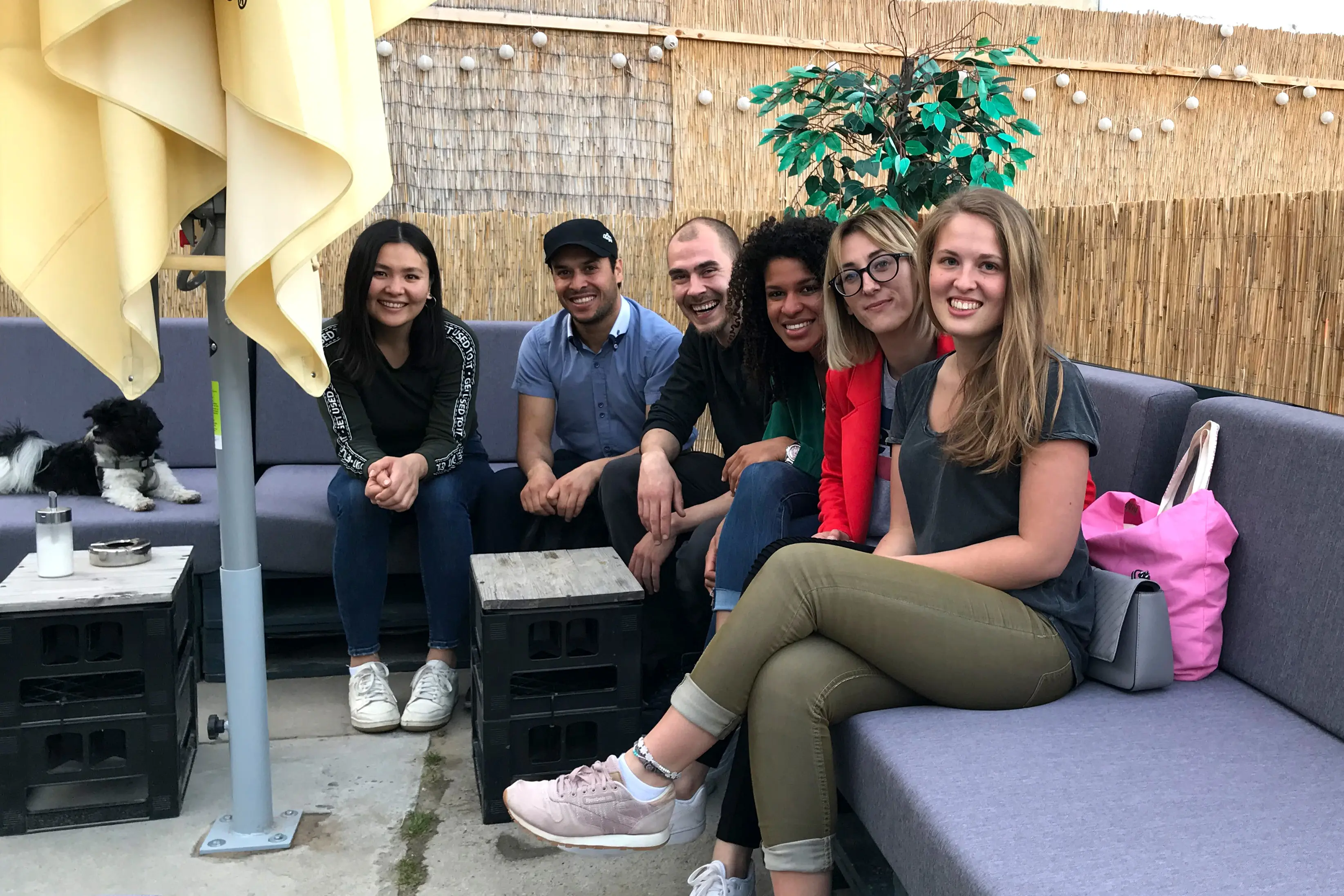 Sechs junge Menschen sitzen lachend auf der Veranda.