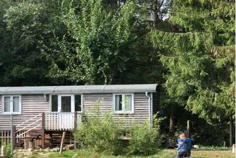 Auf dem Bild ist ein Bauwagen aus Holz zu sehen mit weißen Fensterrahmen, umgeben von Wald.